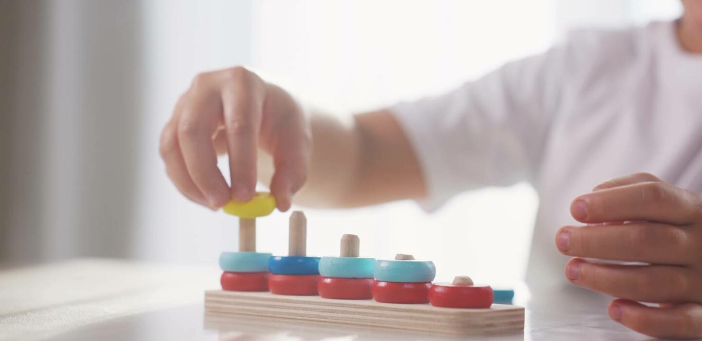 PEDAGOGIA EN EDUCACION DIFERENCIAL CON MENCION EN DESARROLLO EMOCIONAL Y COGNITIVO