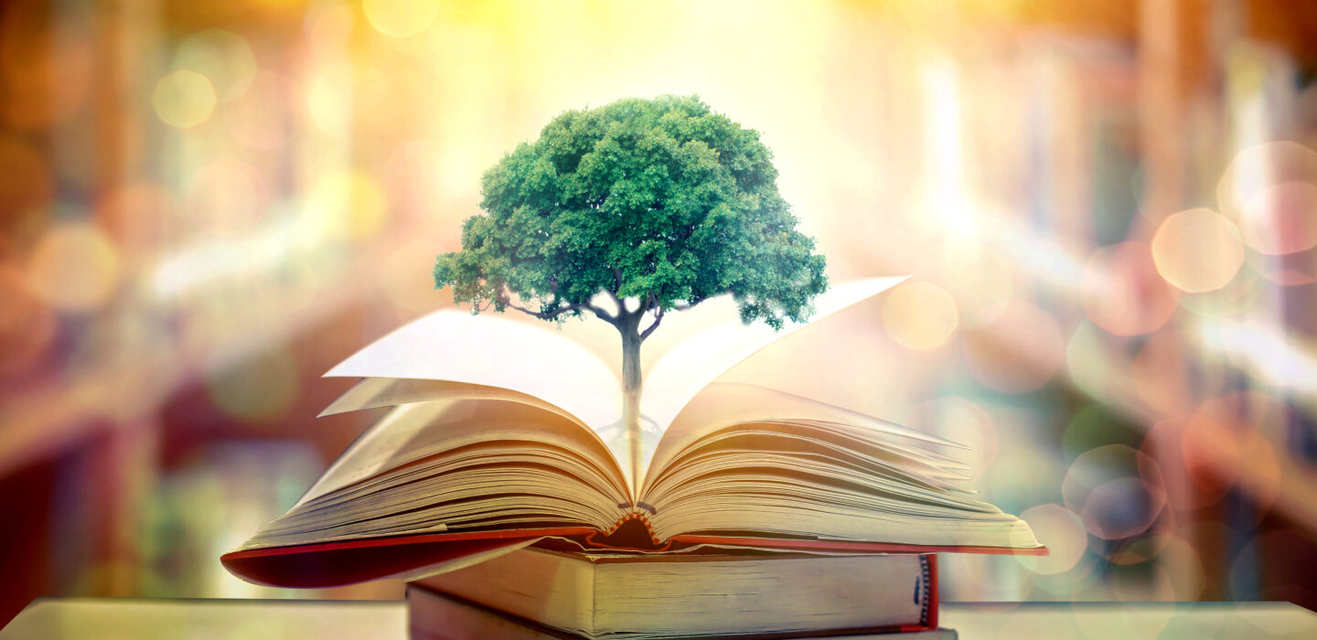 PEDAGOGIA EN FILOSOFIA Y RELIGION